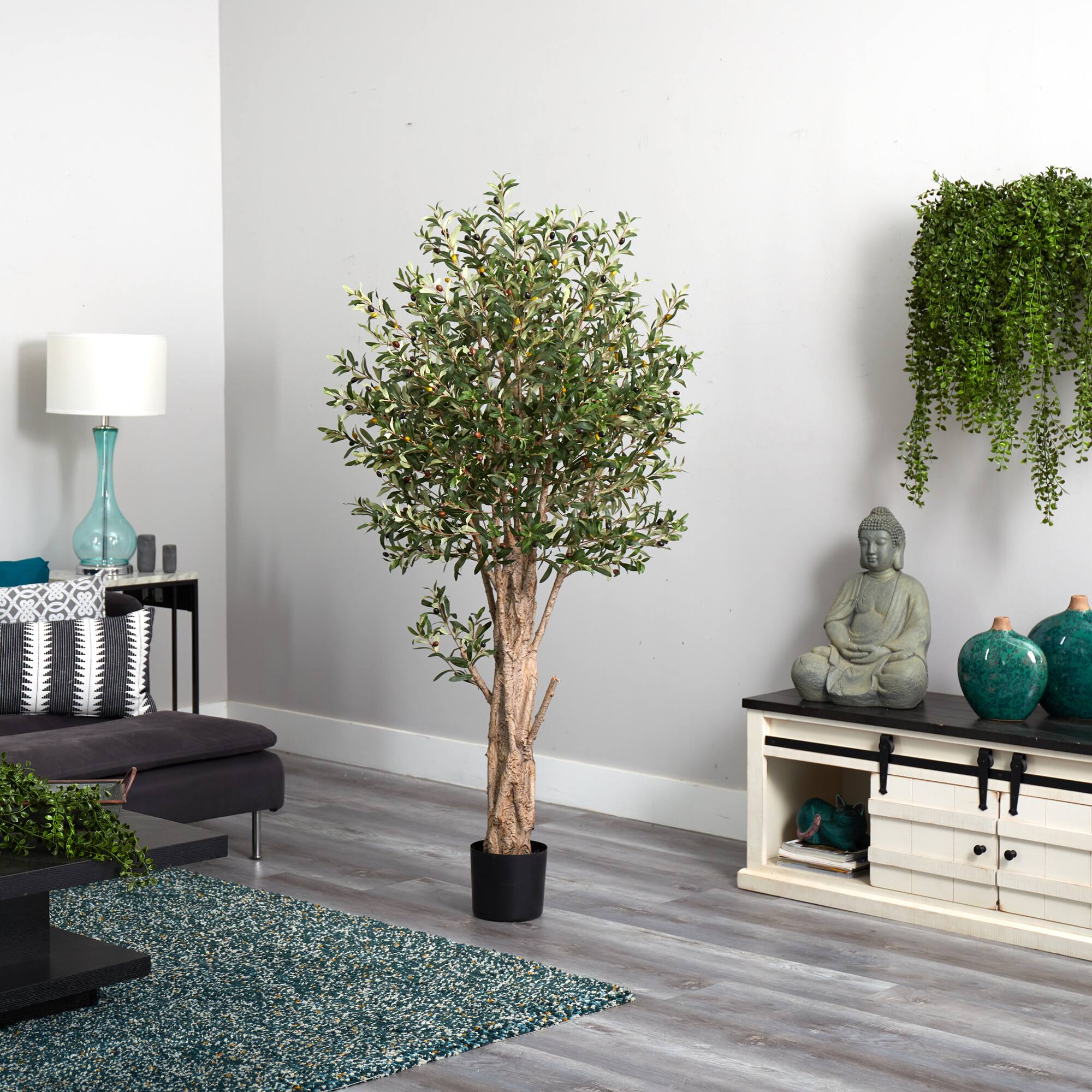6ft. Potted Olive Tree